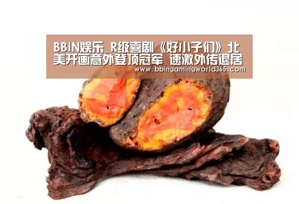 BBIN娱乐_R级喜剧《好小子们》北美开画意外登顶冠军 速激外传退居第二(图1) BBIN赛事