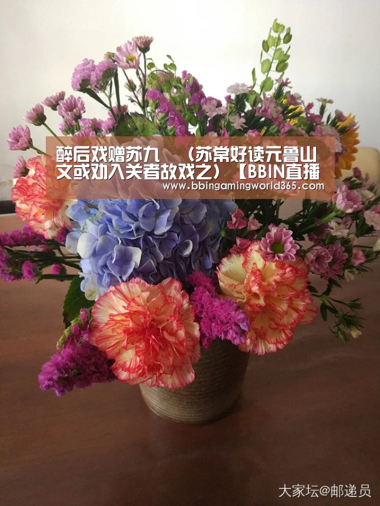 醉后戏赠苏九翛(苏常好读元鲁山文或劝入关者故戏之)【BBIN直播】(图4) BBIN娱乐
