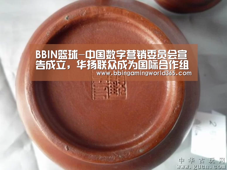 BBIN篮球-中国数字营销委员会宣告成立,华扬联众成为国际合作组副组长单位(图3) BBIN赛事