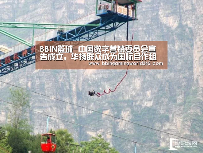 BBIN篮球-中国数字营销委员会宣告成立,华扬联众成为国际合作组副组长单位(图2) BBIN赛事